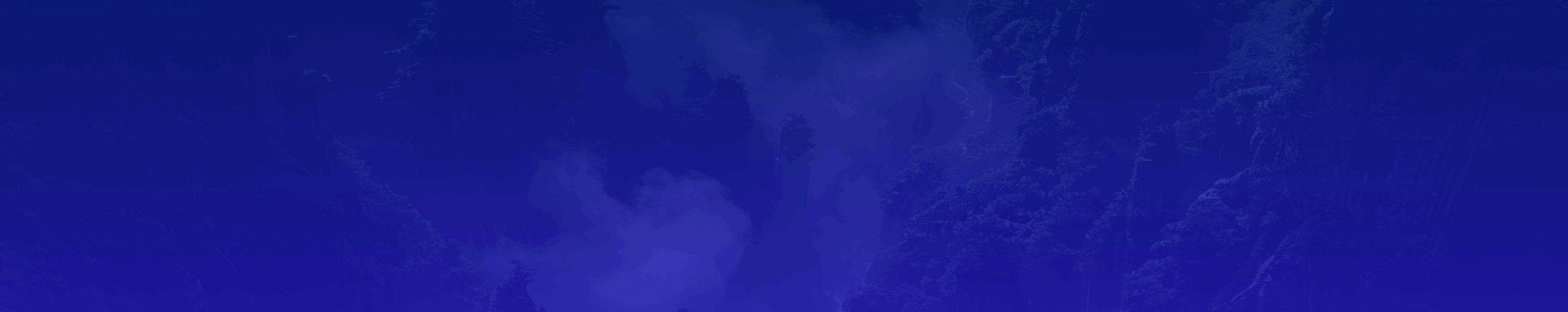 bg footer luongsontv